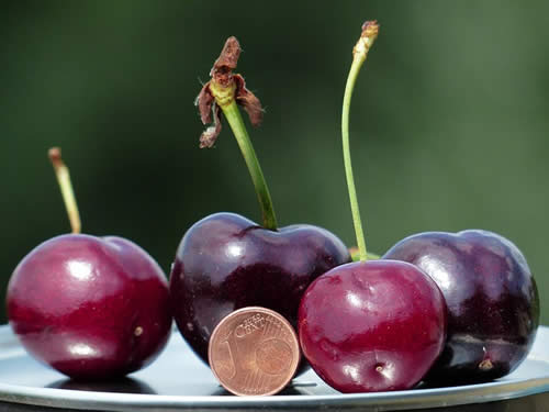 cheap cherries comparison